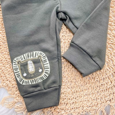 Conj. Jaqueta Tiger e Calça de Moletom - Verde e Verde Musgo